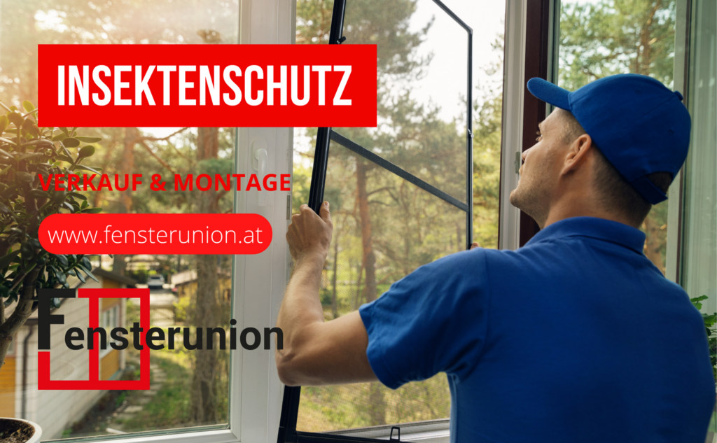 Insektenschutz Graz Gleisdorf Feldbach Montage Firma Kauf